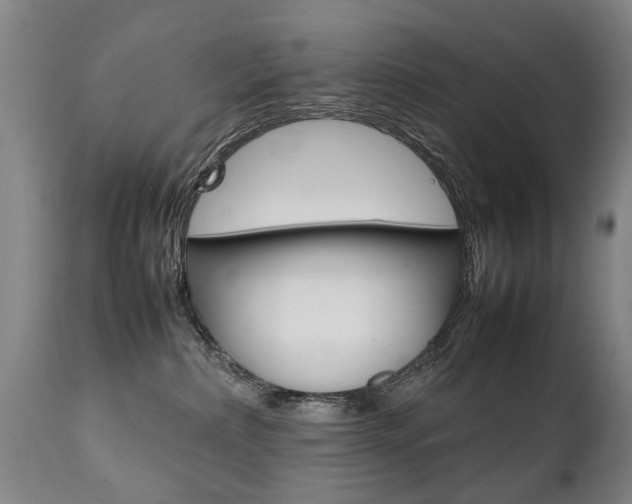 X0000111780236200907230956