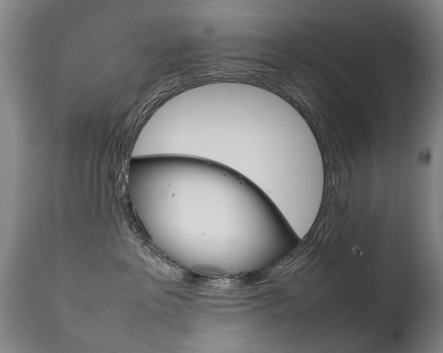 X0000111780237200907230956