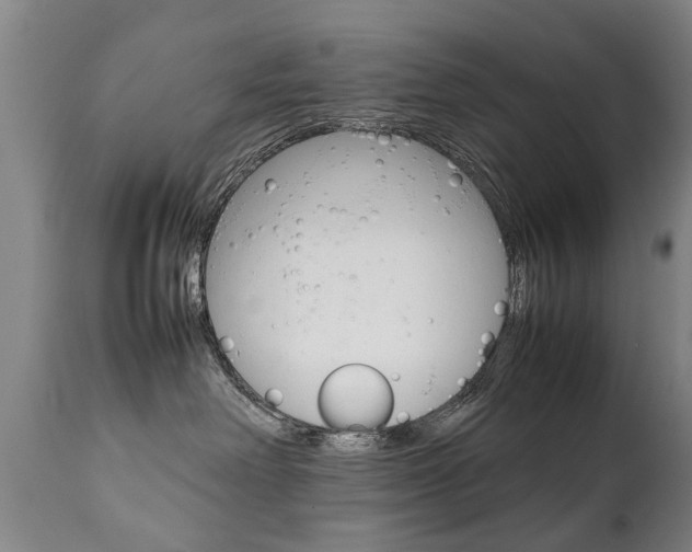 X0000111780238200907230956