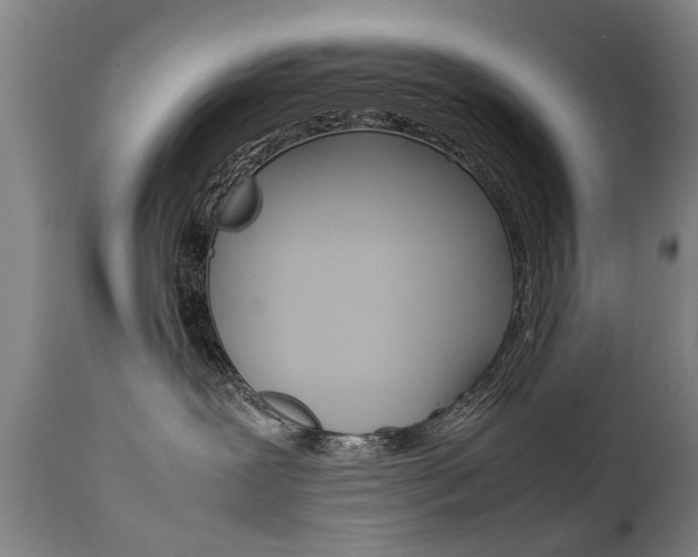 X0000111780239200907230956