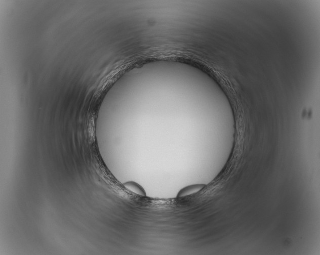 X0000111780240200907230956