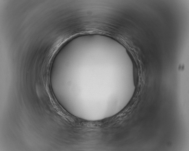 X0000111780241200907230955