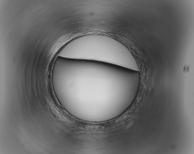 X0000111780242200907230955