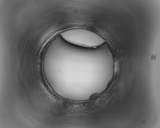 X0000111780243200907230956