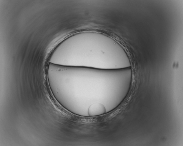 X0000111780245200907230956