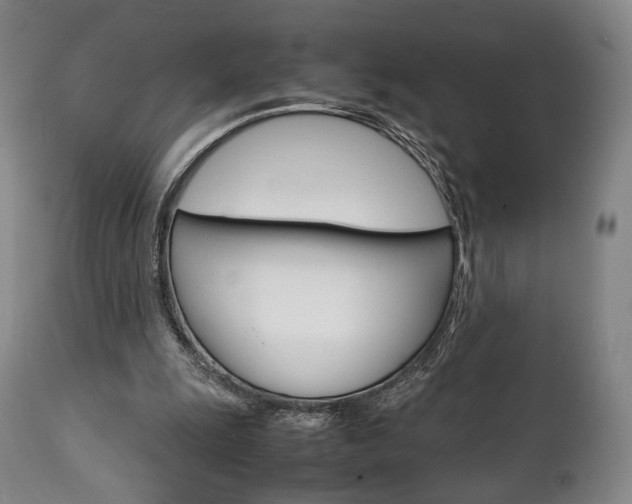 X0000111780247200907230956