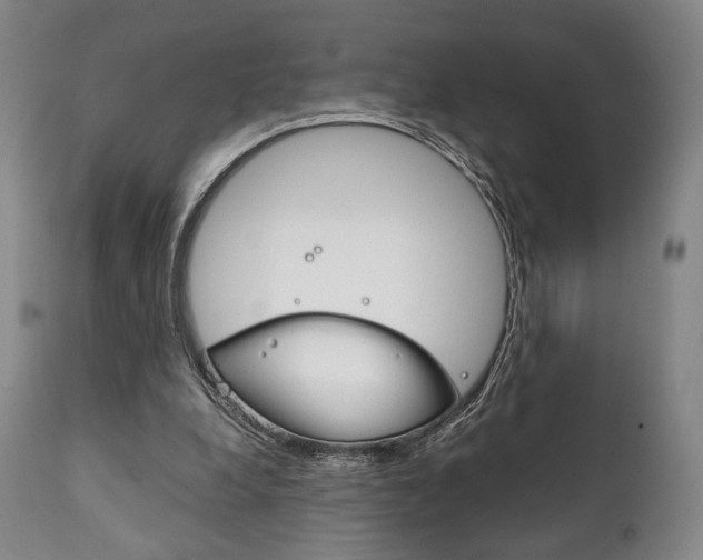 X0000111780248200907230956