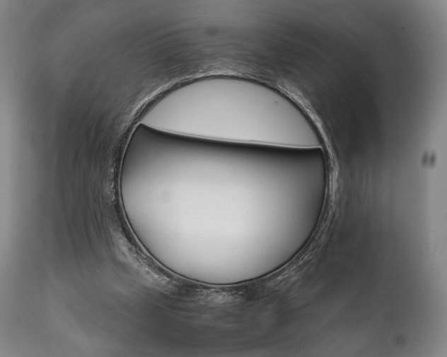 X0000111780249200907230956