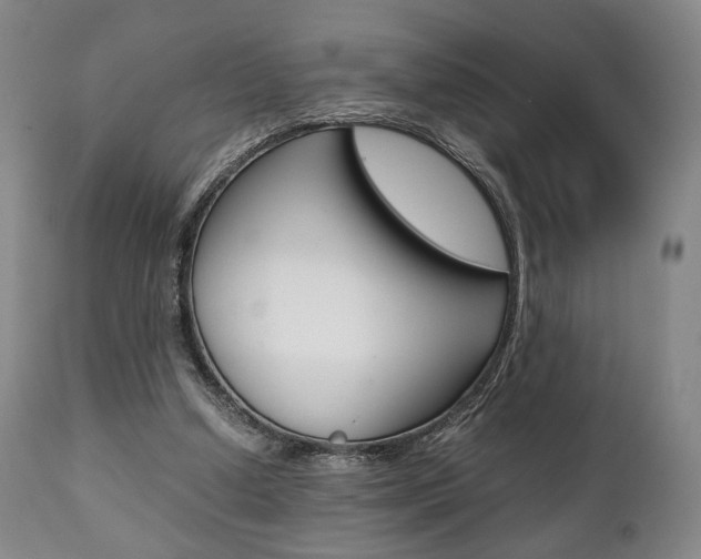 X0000111780250200907230956