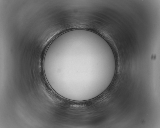 X0000111780251200907230956