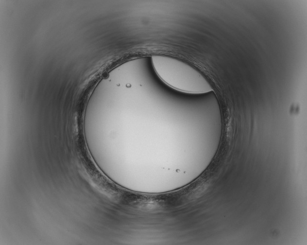 X0000111780254200907230956