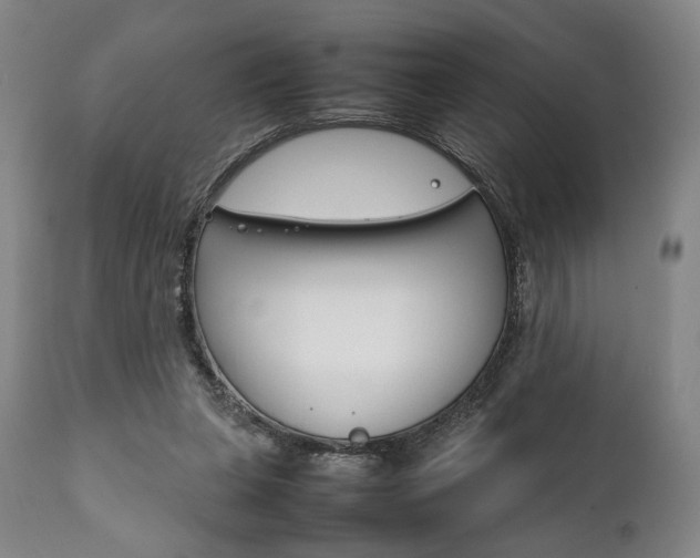 X0000111780255200907230956