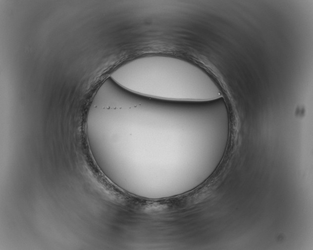 X0000111780257200907230956