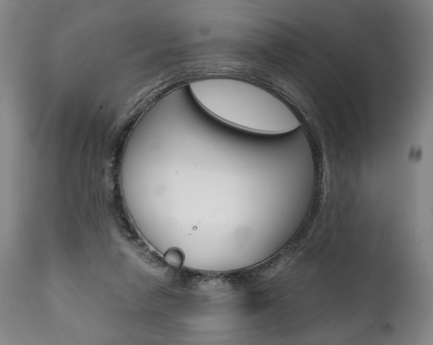 X0000111780258200907230956