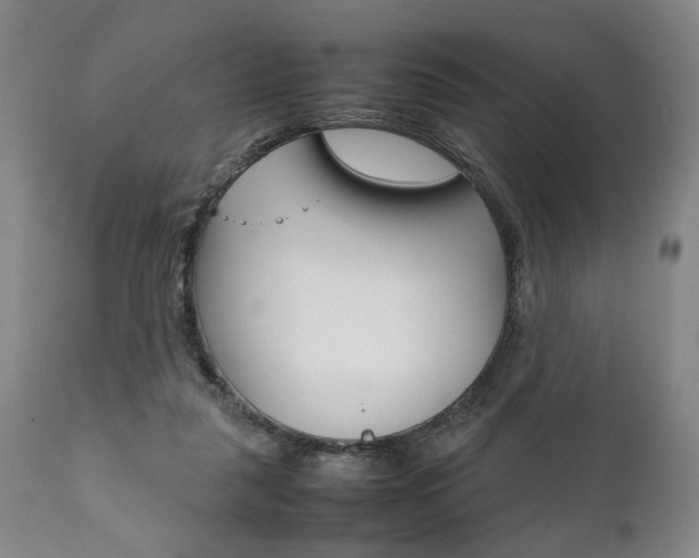 X0000111780259200907230956
