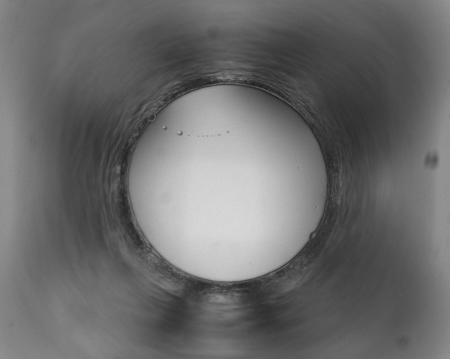 X0000111780263200907230956