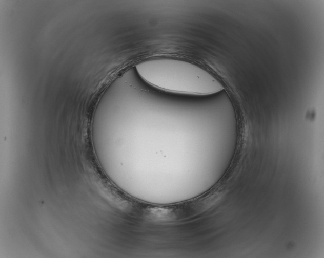 X0000111780265200907230956