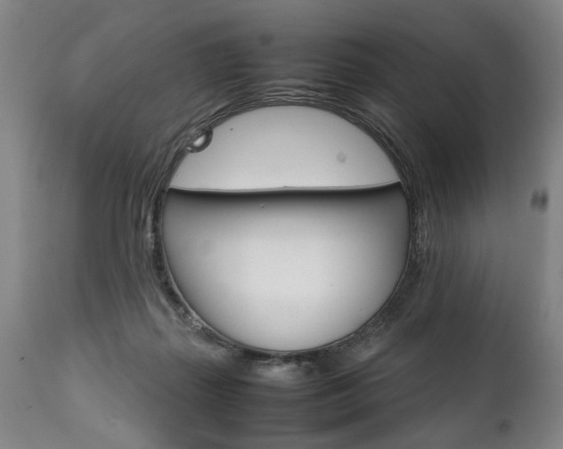 X0000111780267200907230956