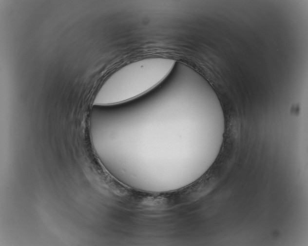X0000111780271200907230956
