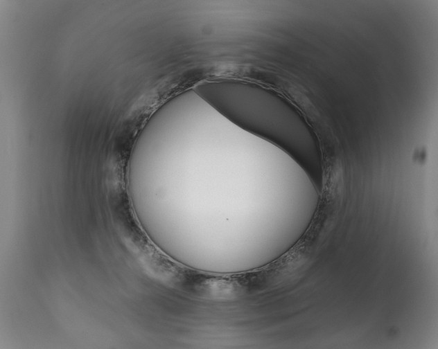 X0000111780272200907230956