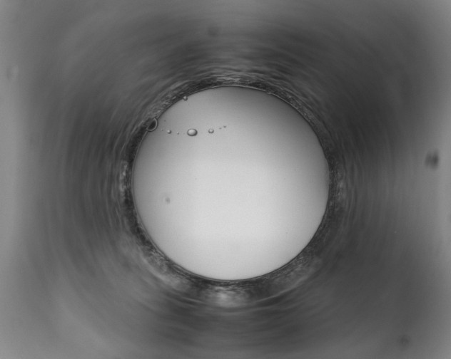 X0000111780275200907230956