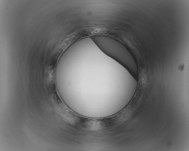 X0000111780276200907230956