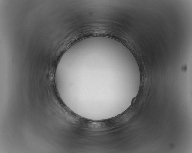 X0000111780277200907230956