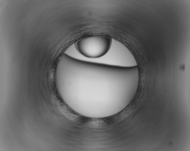 X0000111780278200907230956