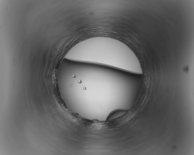 X0000111780280200907230956