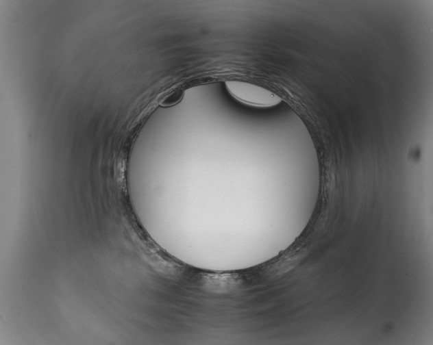 X0000111780281200907230956