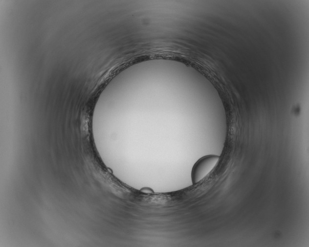 X0000111780282200907230956