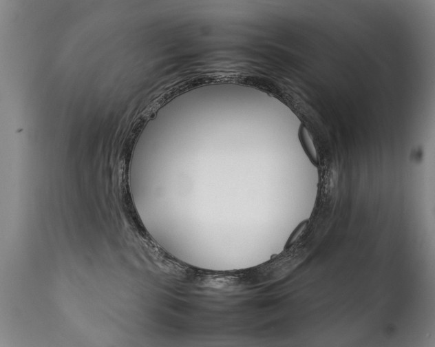 X0000111780283200907230956