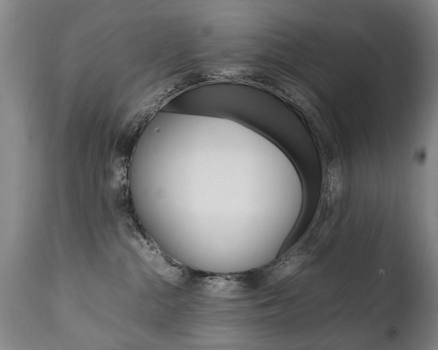 X0000111780284200907230956