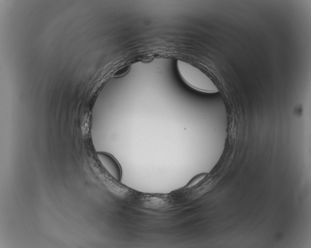 X0000111780285200907230956