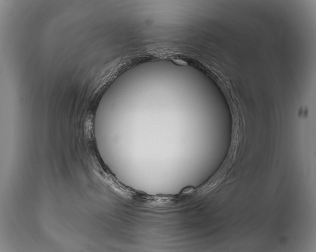 X0000111780288200907230956