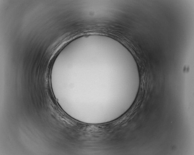 X0000111780290200907230955