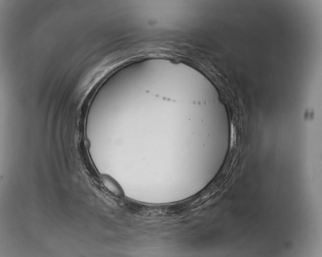 X0000111780291200907230955