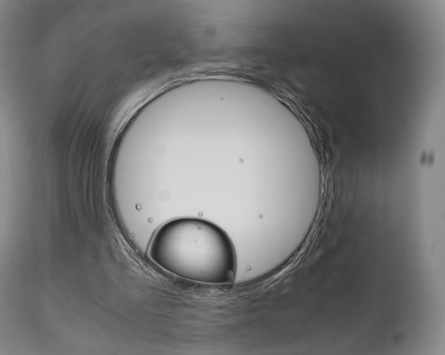 X0000111780293200907230955