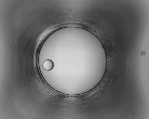X0000111780294200907230955