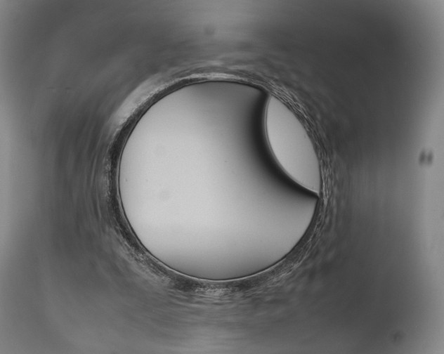 X0000111780295200907230955