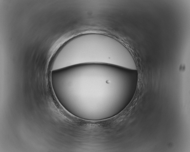 X0000111780296200907230955