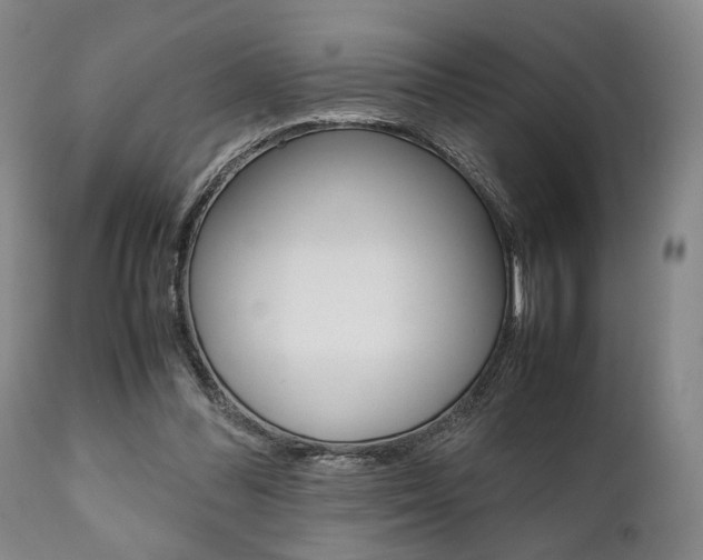 X0000111780300200907230955