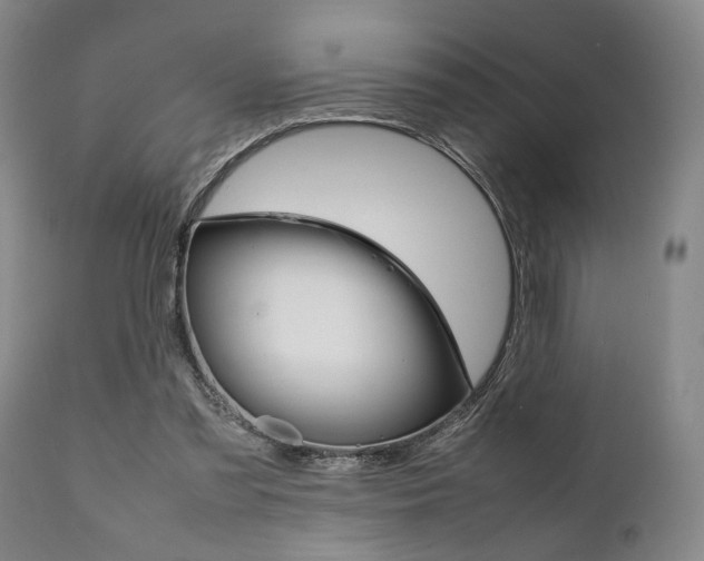 X0000111780301200907230955