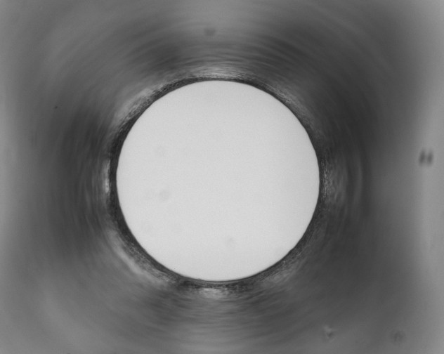 X0000111780302200907230955