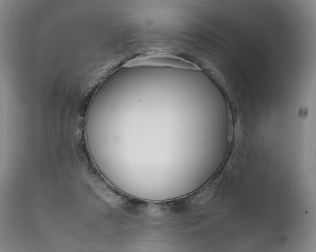 X0000111780305200907230955