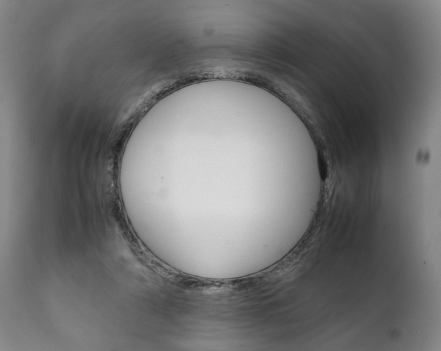 X0000111780306200907230955