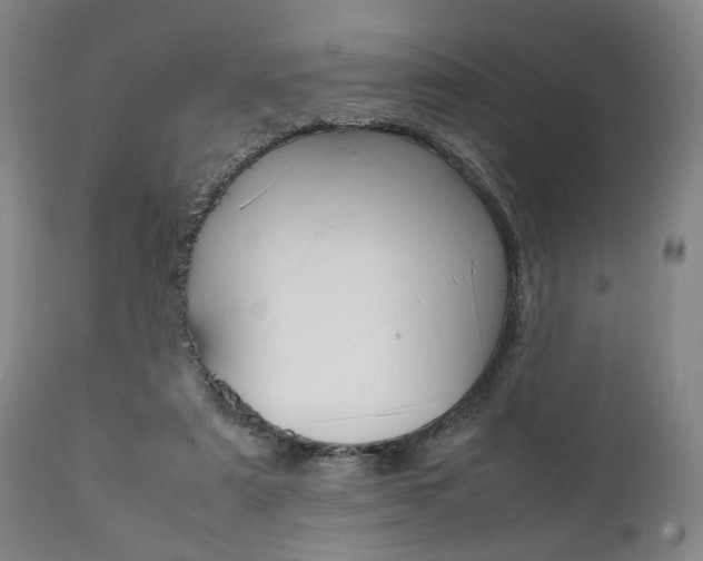 X0000111780307200907230955