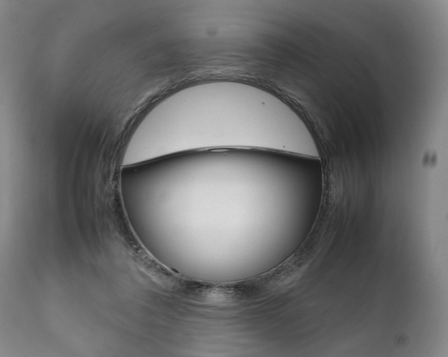 X0000111780308200907230955
