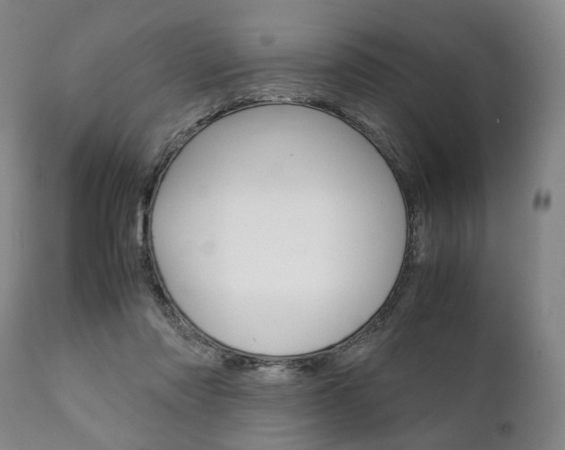 X0000111780310200907230955