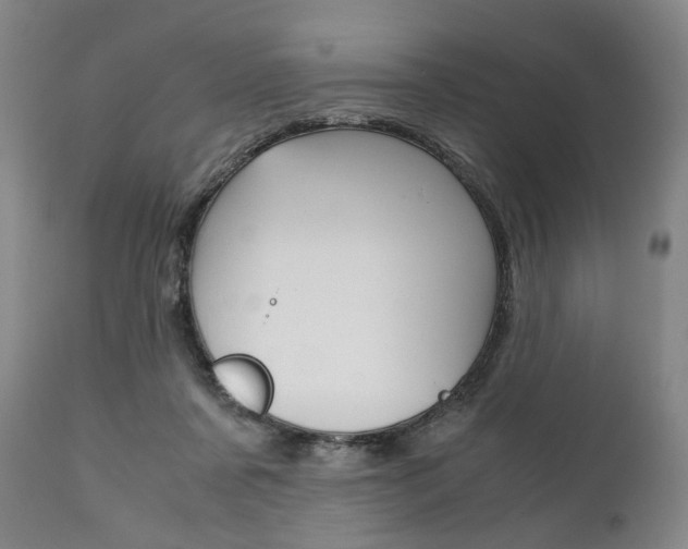 X0000111780311200907230955